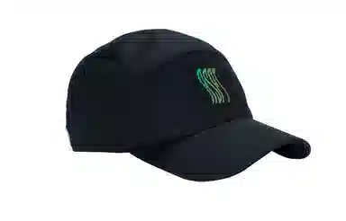 RSPTLOGO
