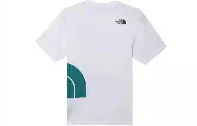 THE NORTH FACE T