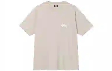Stussy SS21 T
