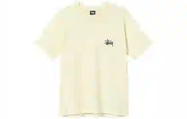 Stussy SS21 T