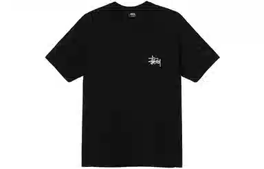 Stussy SS21 T