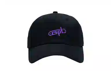 RSPT LOGO