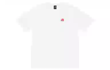 Supreme x The North Face Statue of Liberty Tee White