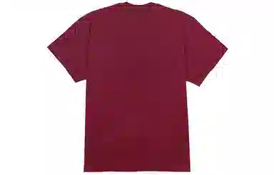 Nike ACG Classic Logo T-Shirt