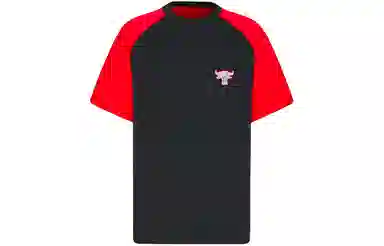DIOR DIOR T