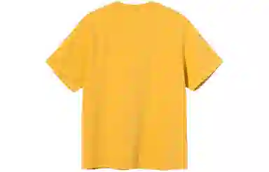 Stussy LogoT