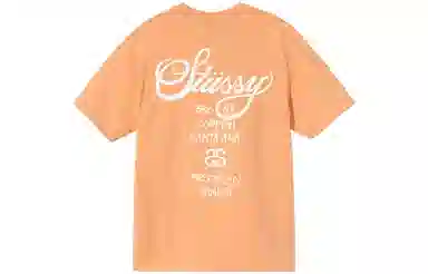 Stussy World Tour T-Shirt