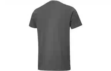 Puma T