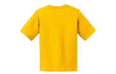 Champion T
