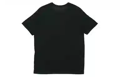 Jordan Iconic T