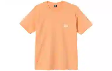 Stussy SS21 T