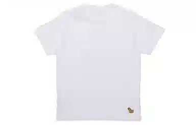 UNIQLO x Sesame Street x kaws T