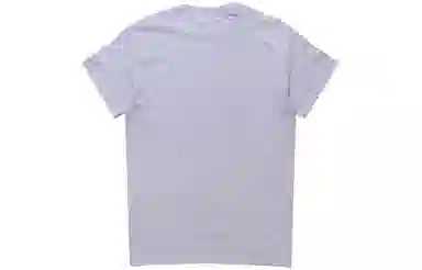 Thrasher Slogan Print T-Shirt Grey