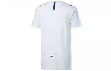 Puma T