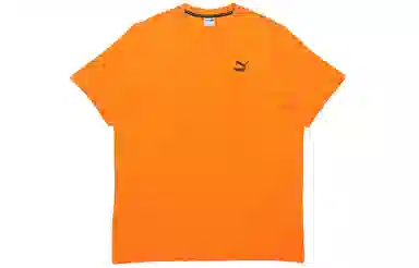 Puma Recheck Pack Graphic Tee LogoT