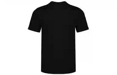 Jordan Air Wings T