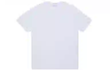 Champion T-Shirt