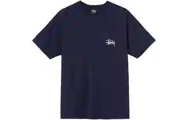 Stussy SS21 T