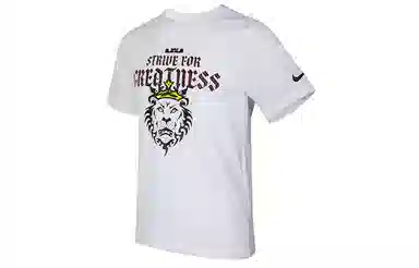 Nike Dri-FIT Lebron Strive For Greatness T