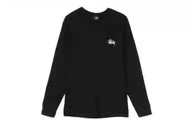 Stussy T