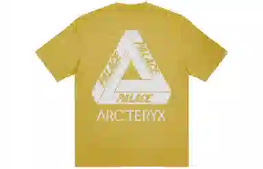 Arcteryx x Palace