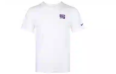 Nike Strive for greatness T