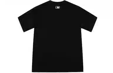 MLB nylogo T