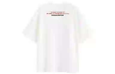 ICONS Lab T