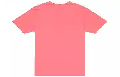 Champion T