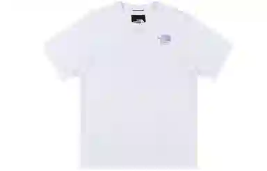 THE NORTH FACE logo T