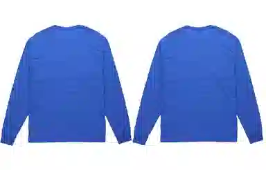 Champion T
