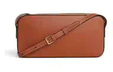 CELINE Triomphe Brown