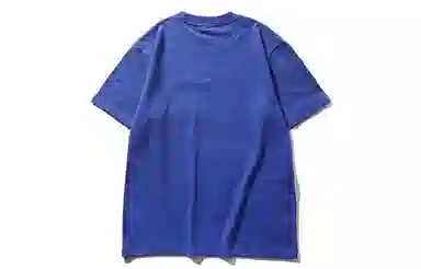 Champion T