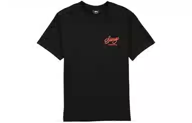 Stussy LogoT