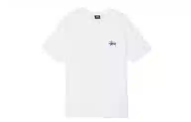 Stussy T