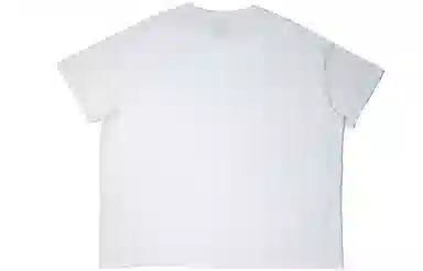 Dickies logoT