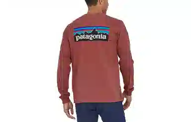 Patagonia P-6 Responsibili Tee