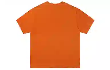 Vision Street Wear T