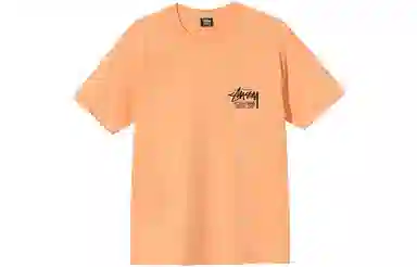 Stussy T