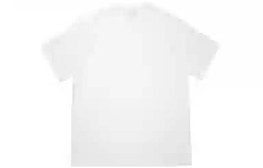 POINTLIMIT logoT