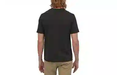 patagonia T
