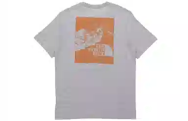 THE NORTH FACE T