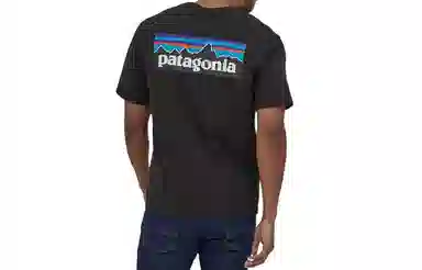 patagonia T