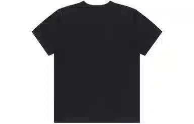 Champion Basic CT