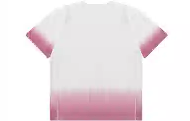 Champion Reverse Weave CT