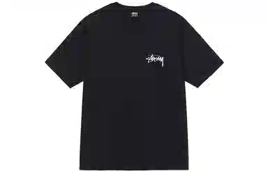 Stussy Livin Large Tee T