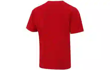 Nike SB T