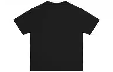 Dickies SS22 logoT
