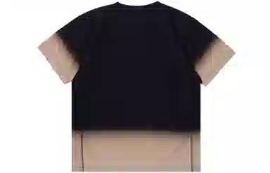 Champion Reverse Weave CT