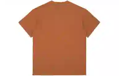 Carhartt WIP Classic Logo Tee Brown